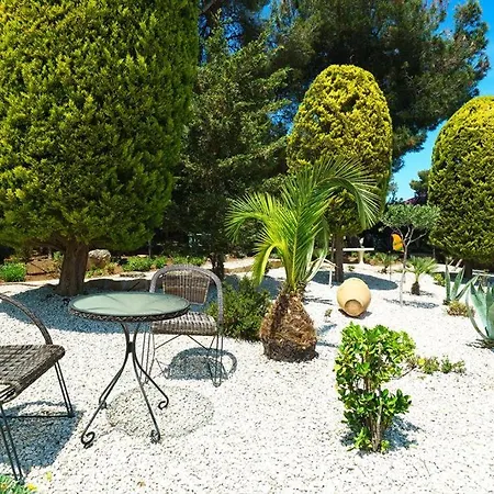 Puravida By Aguilarent *